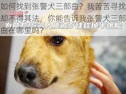 如何找到张警犬三部曲？我苦苦寻找却不得其法，你能告诉我张警犬三部曲在哪里吗？