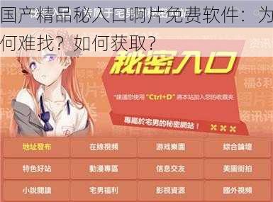 国产精品秘入口啊片免费软件：为何难找？如何获取？