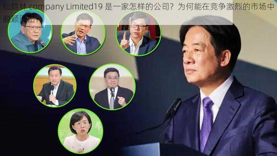 仙踪林 company Limited19 是一家怎样的公司？为何能在竞争激烈的市场中脱颖而出？