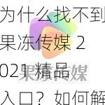 为什么找不到果冻传媒 2021 精品入口？如何解决？