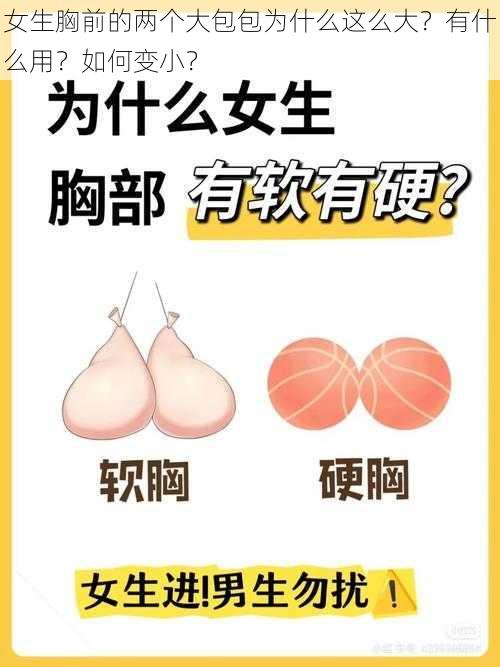 女生胸前的两个大包包为什么这么大？有什么用？如何变小？