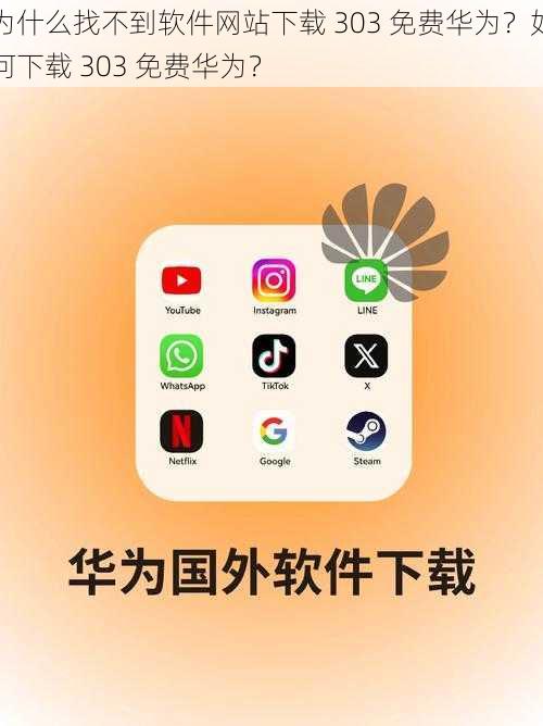 为什么找不到软件网站下载 303 免费华为？如何下载 303 免费华为？