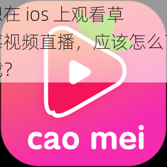 想在 ios 上观看草莓视频直播，应该怎么下载？