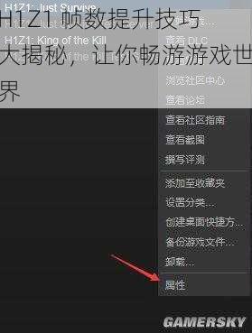 H1Z1 帧数提升技巧大揭秘，让你畅游游戏世界