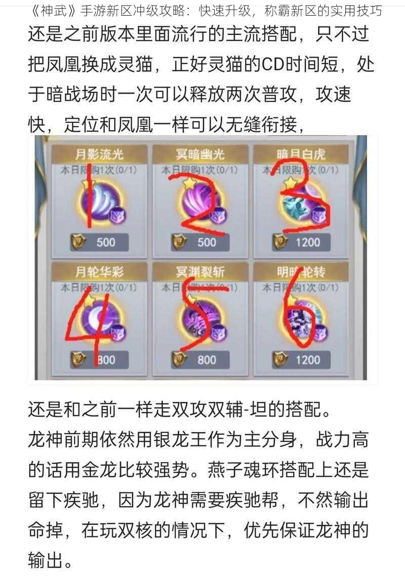 《神武》手游新区冲级攻略：快速升级，称霸新区的实用技巧