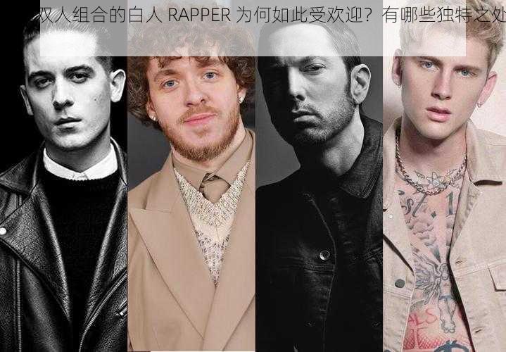 欧美双人组合的白人 RAPPER 为何如此受欢迎？有哪些独特之处？