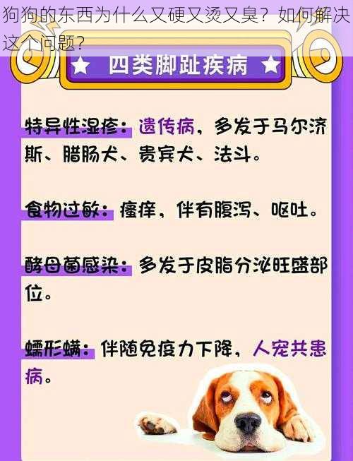 狗狗的东西为什么又硬又烫又臭？如何解决这个问题？