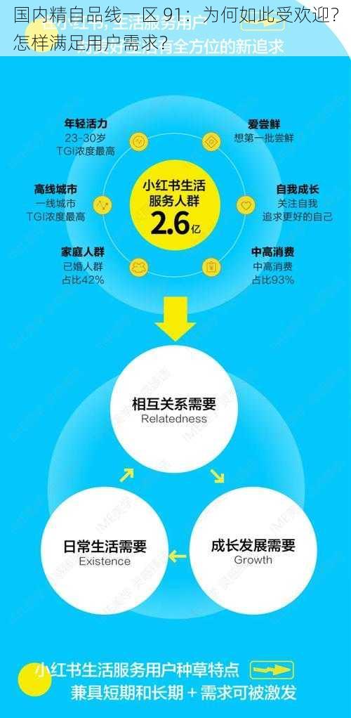 国内精自品线一区 91：为何如此受欢迎？怎样满足用户需求？