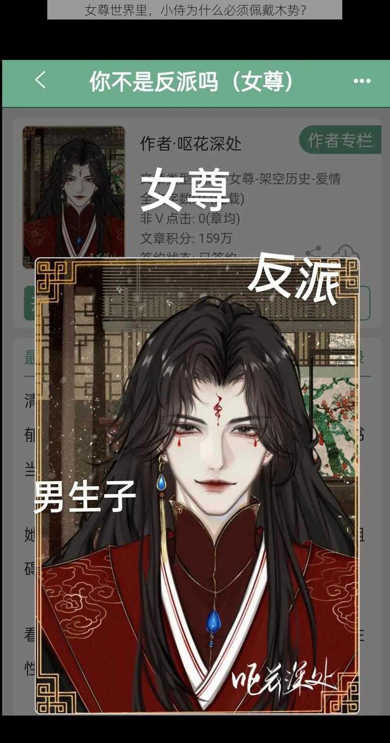 女尊世界里，小侍为什么必须佩戴木势？