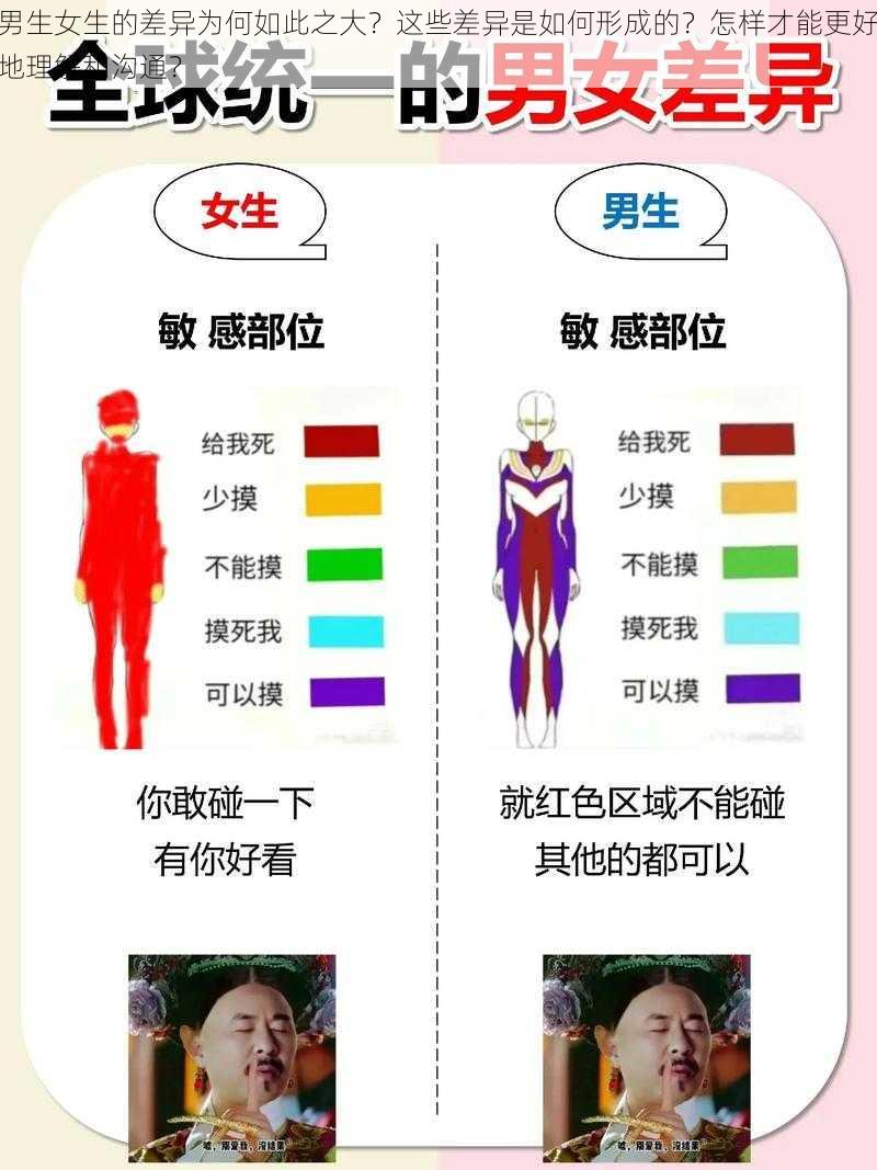 男生女生的差异为何如此之大？这些差异是如何形成的？怎样才能更好地理解和沟通？