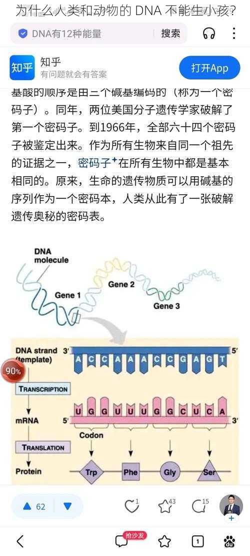 为什么人类和动物的 DNA 不能生小孩？