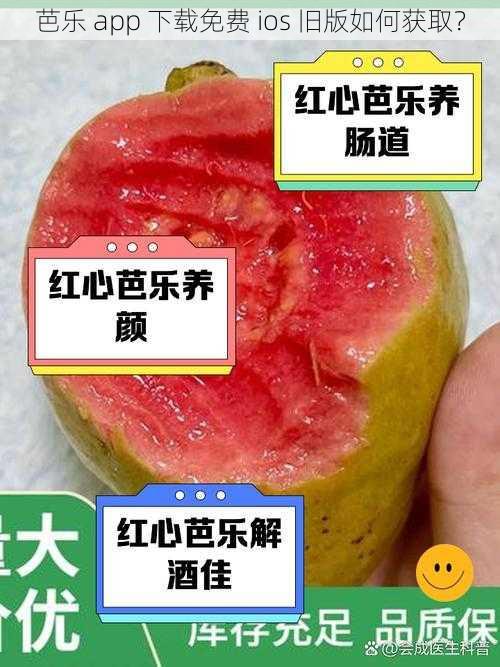 芭乐 app 下载免费 ios 旧版如何获取？