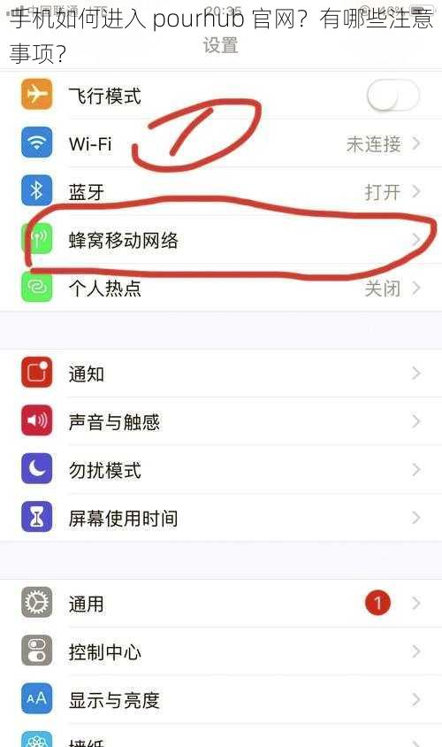 手机如何进入 pourhub 官网？有哪些注意事项？