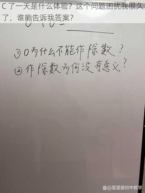 C 了一天是什么体验？这个问题困扰我很久了，谁能告诉我答案？