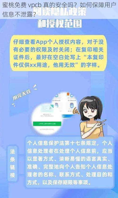 蜜桃免费 vpcb 真的安全吗？如何保障用户信息不泄露？