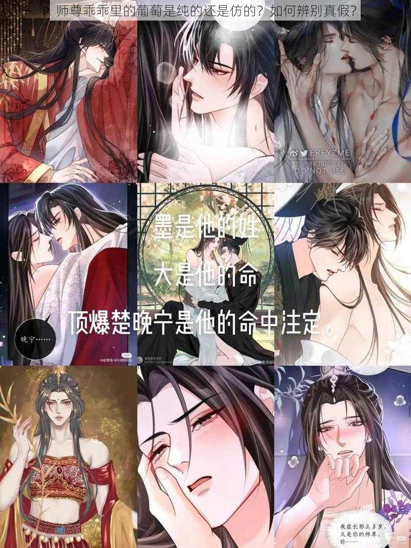 师尊乖乖里的葡萄是纯的还是仿的？如何辨别真假？