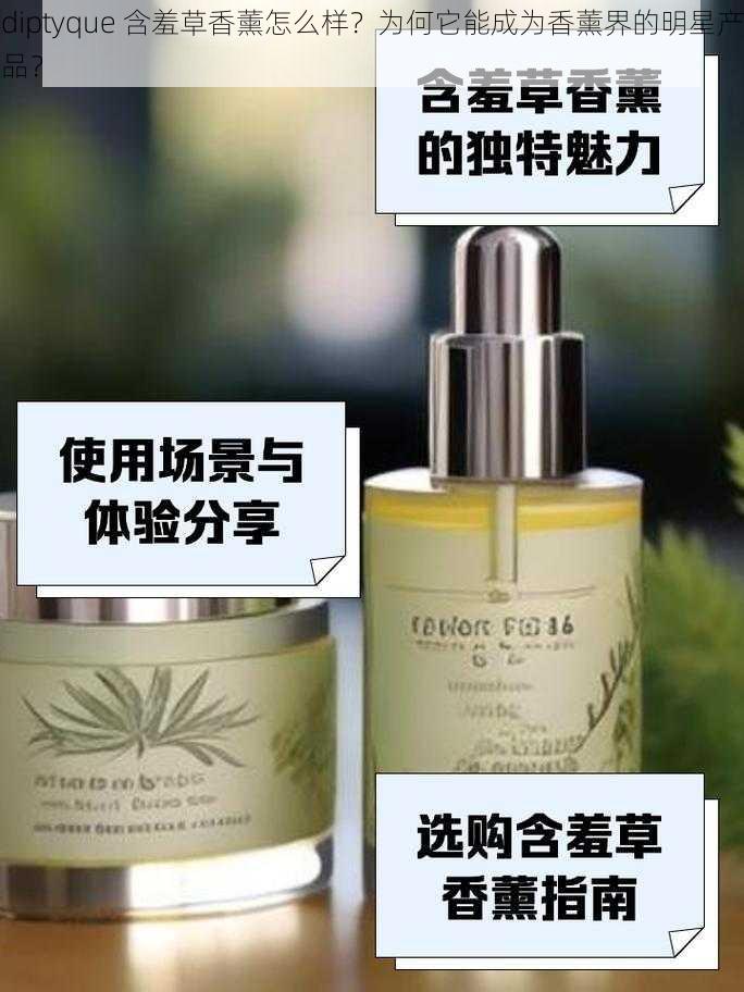 diptyque 含羞草香薰怎么样？为何它能成为香薰界的明星产品？