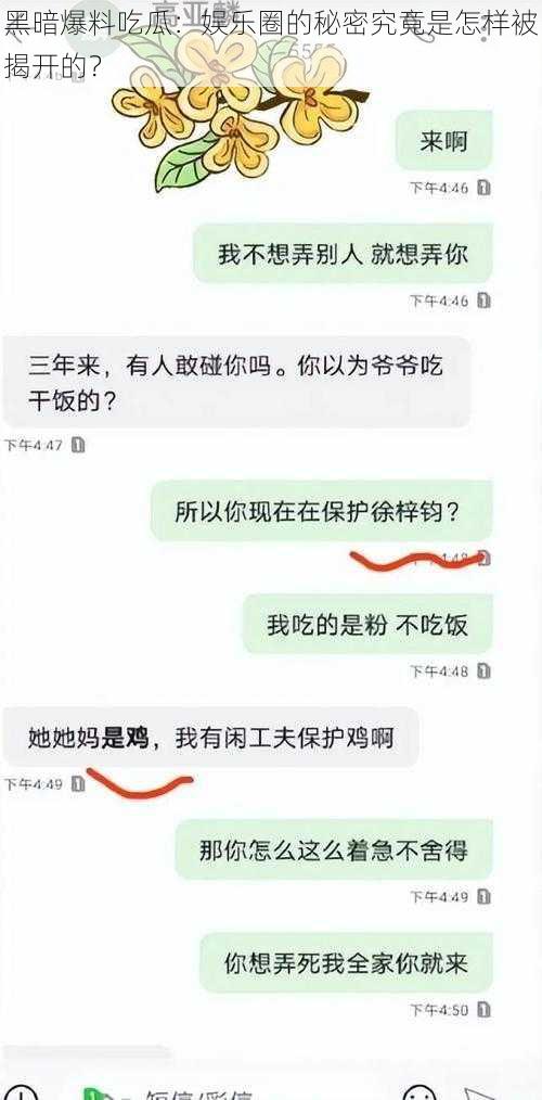 黑暗爆料吃瓜：娱乐圈的秘密究竟是怎样被揭开的？