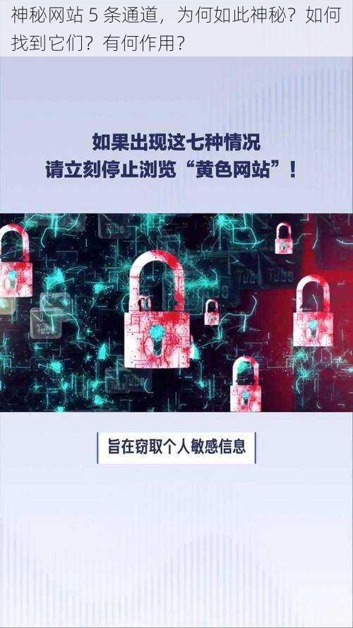 神秘网站 5 条通道，为何如此神秘？如何找到它们？有何作用？