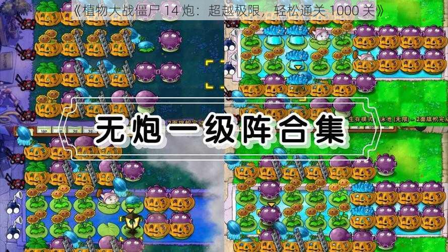 《植物大战僵尸 14 炮：超越极限，轻松通关 1000 关》