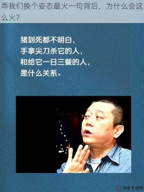 乖我们换个姿态最火一句背后，为什么会这么火？