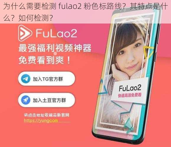 为什么需要检测 fulao2 粉色标路线？其特点是什么？如何检测？