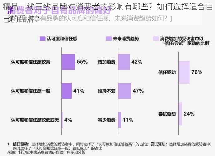 精品二线三线品牌对消费者的影响有哪些？如何选择适合自己的品牌？