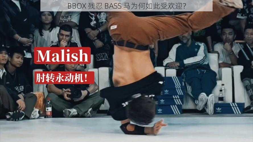 BBOX 残忍 BASS 马为何如此受欢迎？