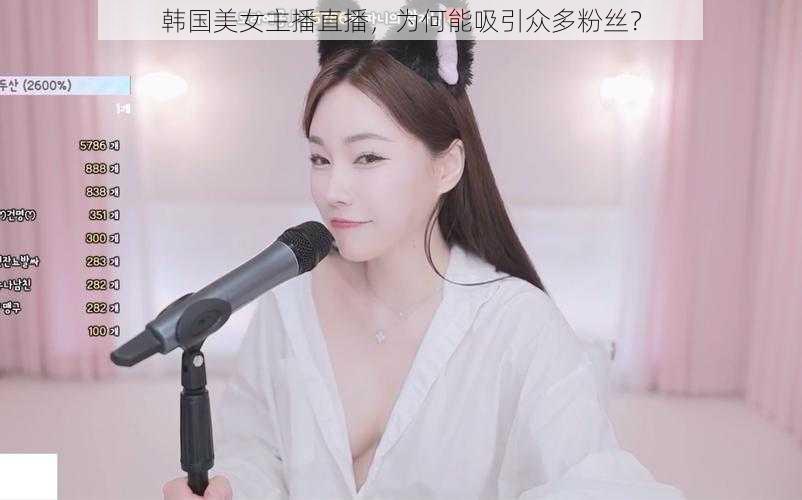 韩国美女主播直播，为何能吸引众多粉丝？