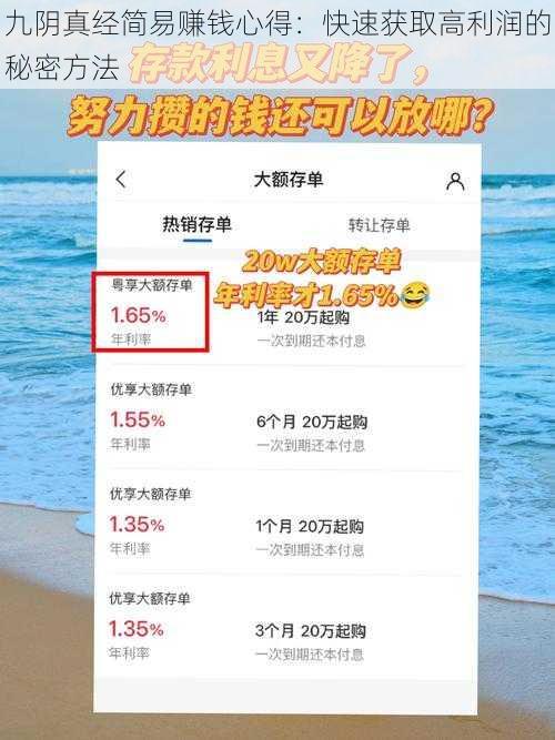 九阴真经简易赚钱心得：快速获取高利润的秘密方法