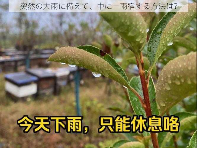 突然の大雨に備えて、中に一雨宿する方法は？