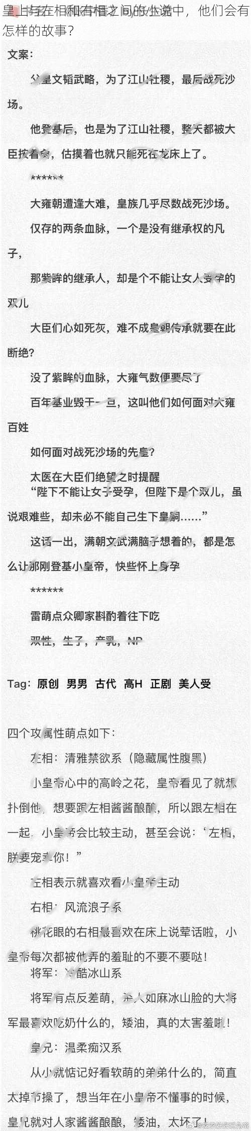 皇上与左相和右相之间的小说中，他们会有怎样的故事？