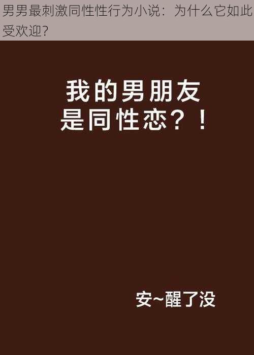 男男最刺激同性性行为小说：为什么它如此受欢迎？