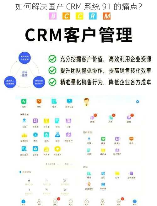 如何解决国产 CRM 系统 91 的痛点？