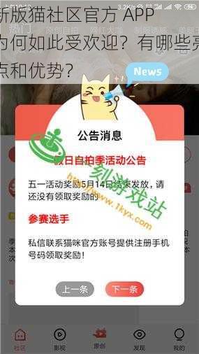 新版猫社区官方 APP 为何如此受欢迎？有哪些亮点和优势？