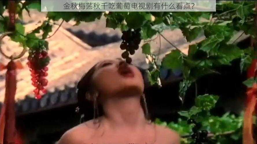 金秋梅荡秋千吃葡萄电视剧有什么看点？