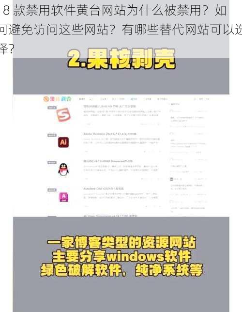 18 款禁用软件黄台网站为什么被禁用？如何避免访问这些网站？有哪些替代网站可以选择？