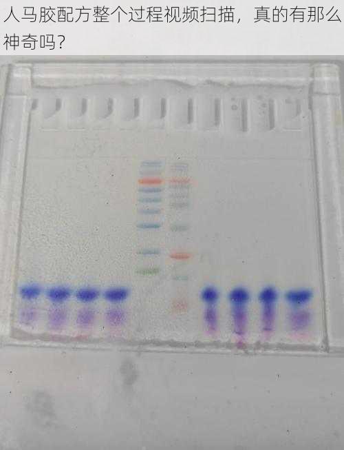 人马胶配方整个过程视频扫描，真的有那么神奇吗？