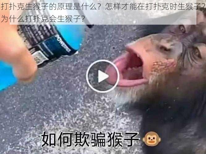 打扑克生猴子的原理是什么？怎样才能在打扑克时生猴子？为什么打扑克会生猴子？