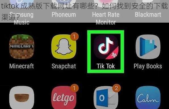 tiktok 成熟版下载网址有哪些？如何找到安全的下载渠道？