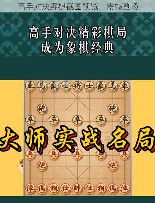 高手对决野棋截图预览，震撼登场