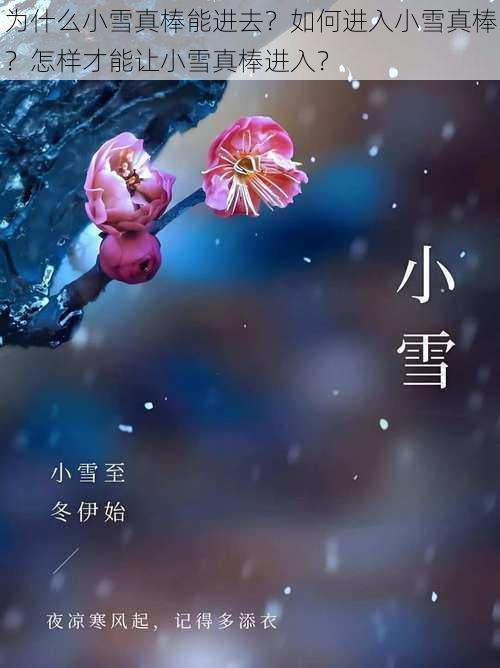 为什么小雪真棒能进去？如何进入小雪真棒？怎样才能让小雪真棒进入？