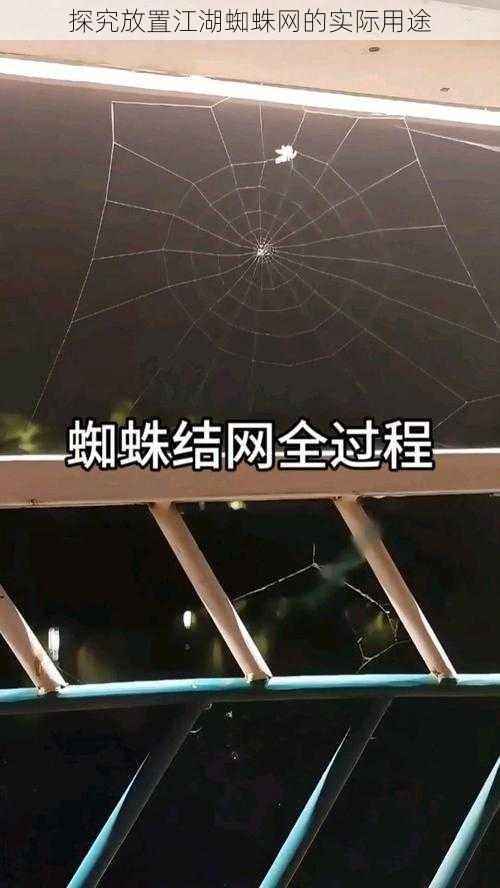 探究放置江湖蜘蛛网的实际用途