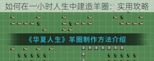 如何在一小时人生中建造羊圈：实用攻略