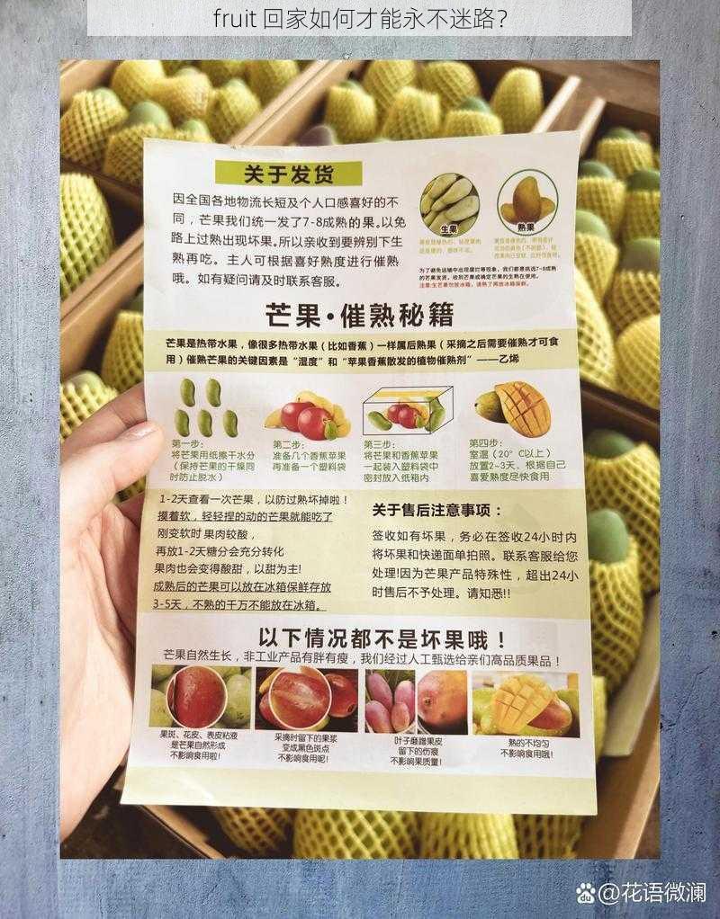 fruit 回家如何才能永不迷路？