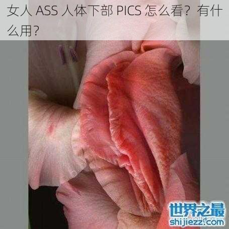 女人 ASS 人体下部 PICS 怎么看？有什么用？