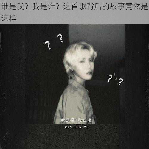 谁是我？我是谁？这首歌背后的故事竟然是这样