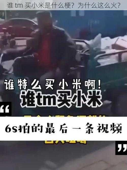 谁 tm 买小米是什么梗？为什么这么火？