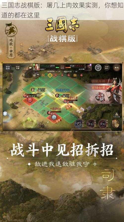 三国志战棋版：屠几上肉效果实测，你想知道的都在这里